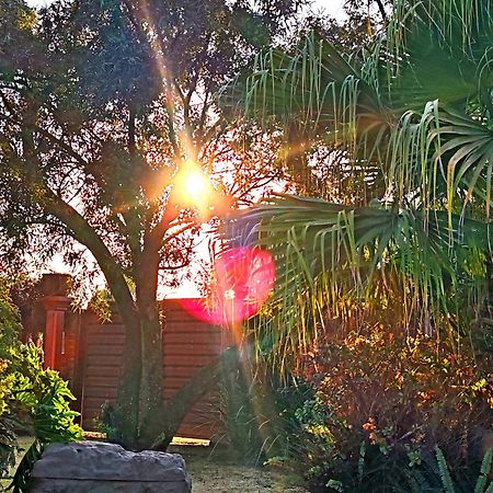 Sun And Stars Hotel Benoni Buitenkant foto